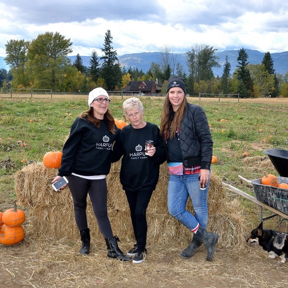 Meet your Posher, Sydney - Picture 1 of 1